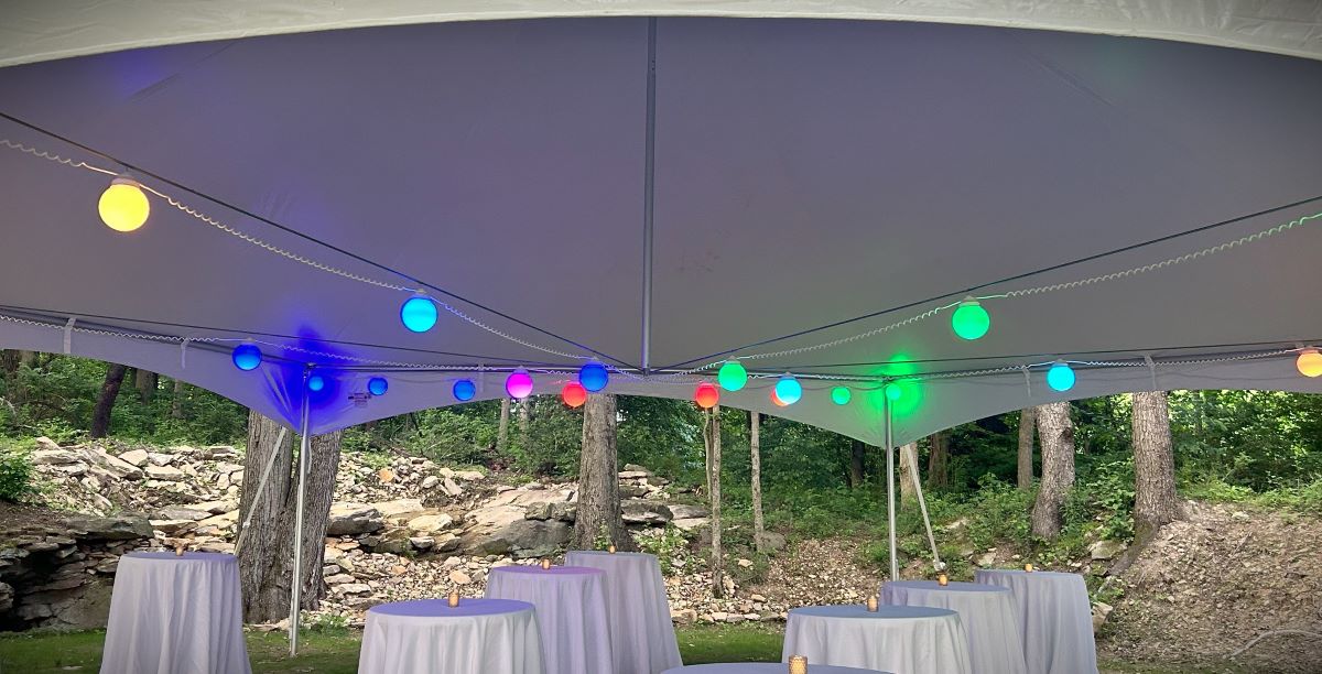 use our LED globe light to add the perfect accent