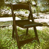 <b>Padded Resin Chairs</b><br><br><em>replacing up to 100 of our standard white chairs</em>