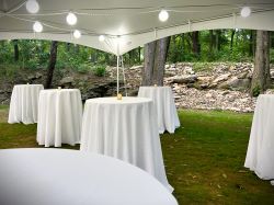 <b>Yes - As a shelter for our guests or a covered area for tables</b><br><br><em>but we don't need it staged with backup ceremony seating</em>