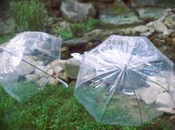 <b>No - We'll just borrow your clear umbrellas if it rains</b><br><br><em>in fact, we'll have 19 of them ready for you - if needed</em>